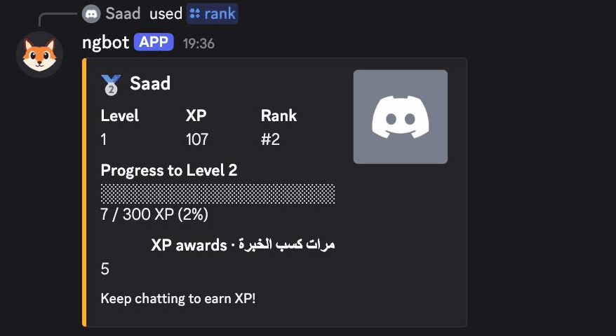 ngbot's rank card for a member of a demo server after /rank: level 1, 107 XP, rank 2, and 7 of 300 XP toward level 2.